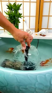 164K views · 1K reactions | Extremely Amazing Aquarium Filter #fishaquarium #aquariumfishtank #fishtanksetup #trending #fish | Aquatic Wonders Hub | Facebook