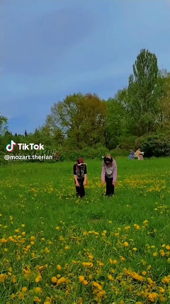 Exploring Quadrobics with Friends: A Therian Experience