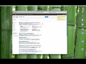 Elluminate demonstration