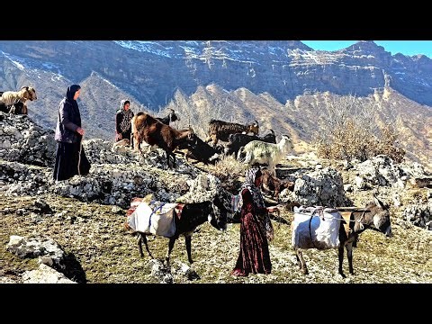 The harsh migration of nomads in the mountains: living in caves for survival