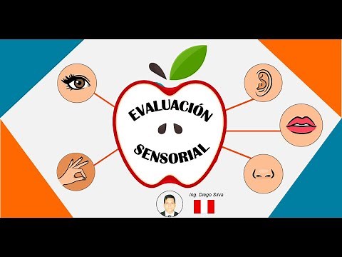 Introducción a la Evaluación Sensorial de Alimentos | EQS