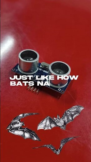 The Ultrasonic Sensor (HC-SR04)