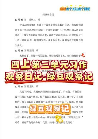 四年级观察泡豆子七天日记怎么写