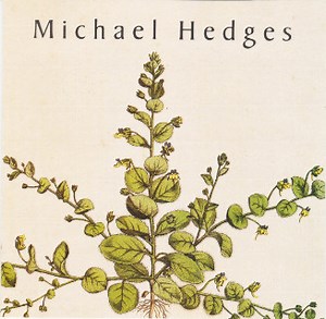 Michael Hedges - Taproot