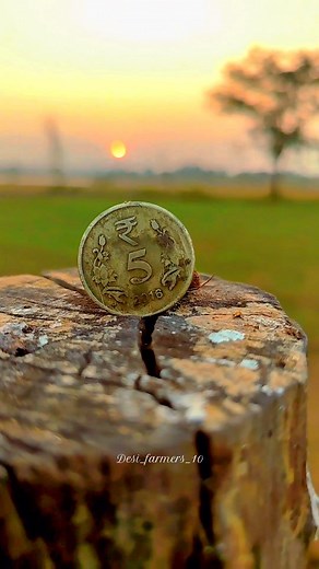 Sunset ✨ . . . . #SunsetFarming #NatureFarming #FarmLife #SunsetLovers #FarmingLife #NatureBeauty #FarmVibes #SunsetChasers #RuralLiving #farmtotable | Farming Clip | Facebook