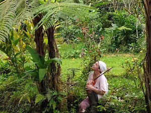 Agroforestry: Diversity and Design