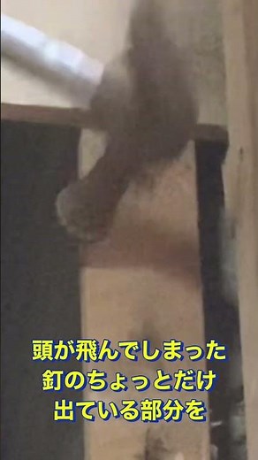 【知恵の神】大工の師匠の教え 錆びて頭が無くなった釘の抜き方、処理の仕方教えます♪#shorts #diy #大工