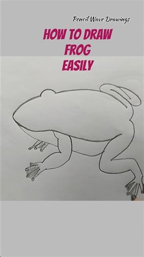 Frog drawing for beginners| Frog drawing easy