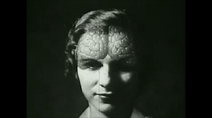 Secret Life of Scientists and Engineers:Nicole Prause: You Gotta Fight for Your Right to do Science Season 2016 Episode 23