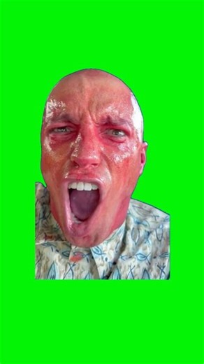 I Green Screen Things | Red Screaming Man In A Car | Green Screen #screaming #mad #upset #mood #meme #fyp #foryou | Instagram