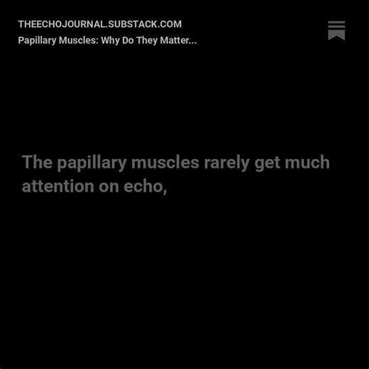 Adult Echocardiography Lessons — Every Tuesday & Thursday 🫀✊🏼 Follow The Echo Journal, the #1 echocardiography newsletter on Substack. Learn practical scanning and reporting techniques with new lessons released each week. 👉 Join now: theechojournal.net | The Echo Journal