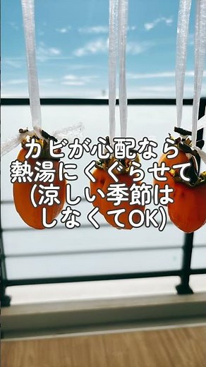 【簡単】干し柿の作り方 渋柿とヒモと吊るすところがあれば2週間で完成