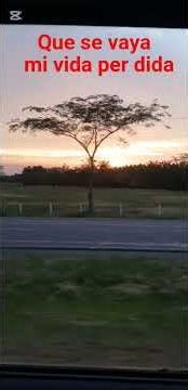 Let my lost life go away #cornelioreyna.