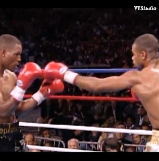 52K views · 1.1K reactions | Scientific Studies Prove This Is The Best Boxer Ever  | SFB | Facebook