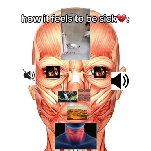#follower