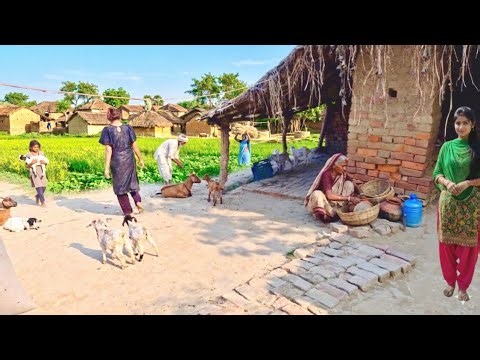 Why Indian Village Life is Better: Pure Happiness and Lush Green Nature