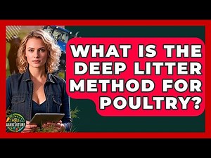 What Is The Deep Litter Method For Poultry? - The World of Agriculture
