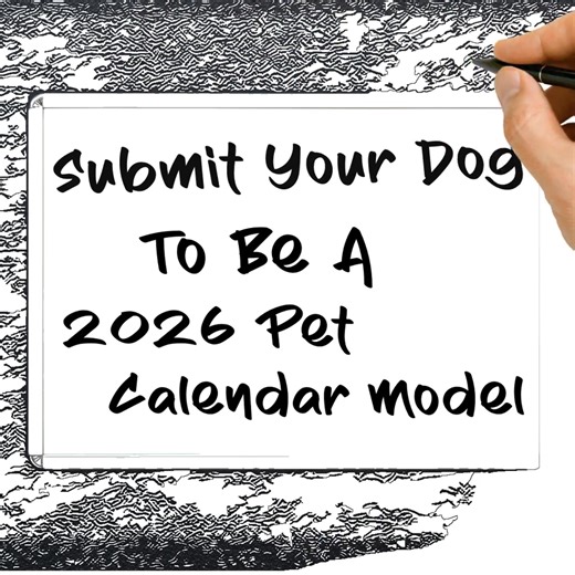 🐾🗓️ Calling All Dog Lovers! 📸✨ Submit your dog for a chance to be in the 2026 "Paw Print" Calendar! 👉 https://rb.gy/9u6r1i | The Paw Print