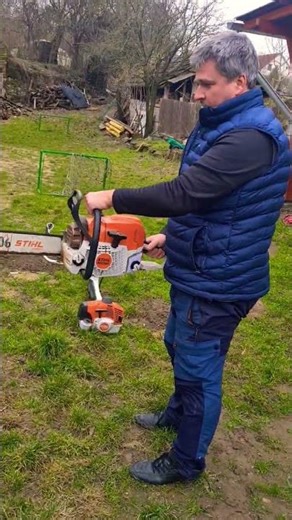 Ultimate Stihl MS 362 ChainSaw Before cuting the favourite tree...