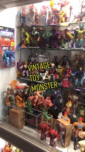 #vintagetoys #heman #wwf #starwars #toycollector #retrotoys #actionfigures #toycollection #nostalgia #90stoys #toyunboxing #fyp #toyphotography