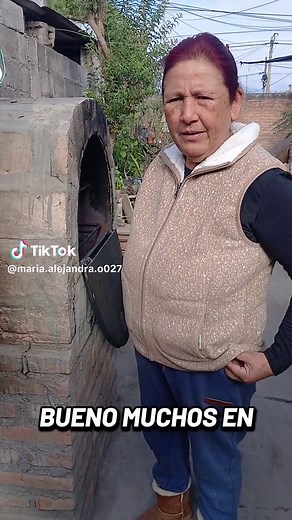 Cómo funciona un horno ecológico para hacer pan
