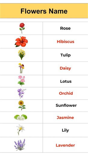 10 Beautiful Flowers 🌸 (Visual Vocabulary Guide)