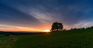 Video by Pixabay on Pexels