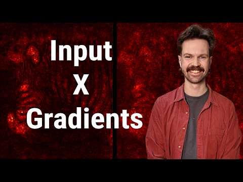 Input X Gradients Explained: Why This XAI Method Can Mislead You