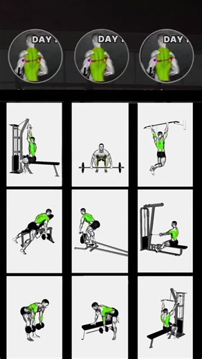 Transform your back workout with these killer exercises! Strengthen and sculpt your back muscles with a mix of lat pulldowns, barbell rows, cable rows, dumbbell rows, deadlifts, T-bar rows, seated rows, single-arm dumbbell rows, pull-ups, and face pulls. Ready to level up your fitness game? #GymTraining #BackExercises #Fitness #WorkoutRoutine #StrengthTraining #BackWorkout #GymLife #FitnessGoals #gymlife #ExerciseGuide #MuscleBuilding #workouts #bodybuilding #gym #exercise #gymgo #fitnesstiktok 