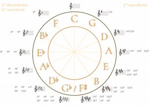 El Círculo de Quintas: explicación y cómo usarlo – Cresciente: Academia Online