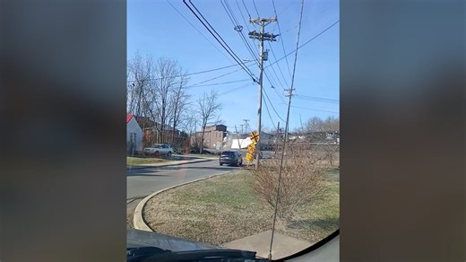 Driver escapes Tennessee train collision, see the video