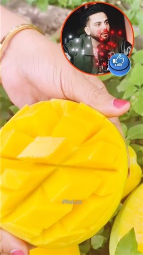 "Elvish Yadav's favourite things 💯" #shorts #ytshorts #ReLux