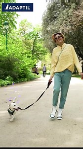 Introducing the ADAPTIL Calm Collar – the vet recommended calming solution for your pup!  Life can be stressful for some dogs! Say hello to a calm, comforting solution using the science of pheromones.  ADAPTIL sends constant calming messages so your pup feels reassured and safe anywhere on the go. | ADAPTIL | Facebook