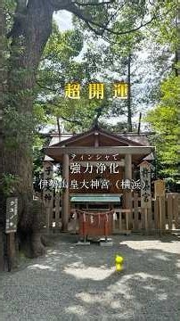 伊勢山皇大神宮⛩️ 横浜市西区宮崎町にある神社で伊勢神宮と同じ主祭神である天照大御神を祀っている 開運招福や厄除けをはじめ、縁結び、商売繁盛などのご利益がある ぜひ開運参拝祈願を🐤#Shorts
