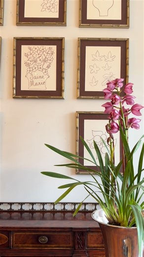 Housebound Interiors on Instagram: "A rare and striking suite of twelve vintage French lithographs executed in the lyrical, continuous-line style associated with Henri Matisse’s late graphic work. Produced in France circa 1950s, these refined floral and botanical studies reflect a period when French ateliers and literary circles frequently commissioned expressive line drawings for limited, art-focused portfolios."