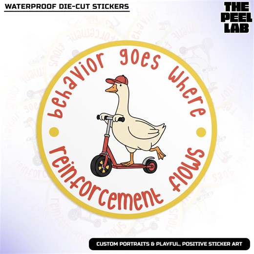 Behavior Goes Where Reinforcement Flows Sticker, Silly Duck Behavior Specialist ABA Vinyl Stickers Decal for Kindle Laptop Gifts - Etsy
