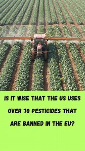 2.3K views · 40 reactions | Local Food Movement on Reels | Facebook