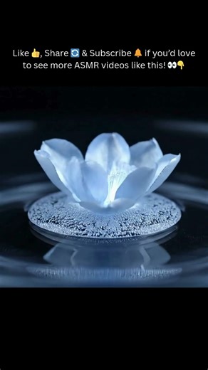 Starlight Drop Blooming ✨🌌 #ASMR #Satisfying #Shorts