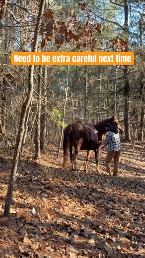 Beauty stuck her leg inside rein #barnlife #fypシ #equestrianjourney #ytshorts #horsegirl #south