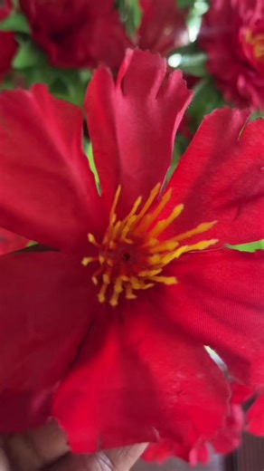 Vlog 1 continuation: Showing the extension area and the lookout view from within the extension area out towards the housewind and beach side🌊🏚️