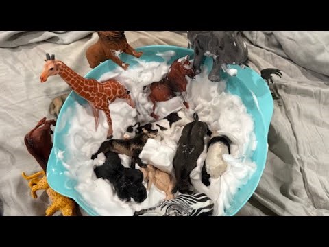 Dirty Muddy Zoo Animal Toys Getting Washed in WHITE MUD!
