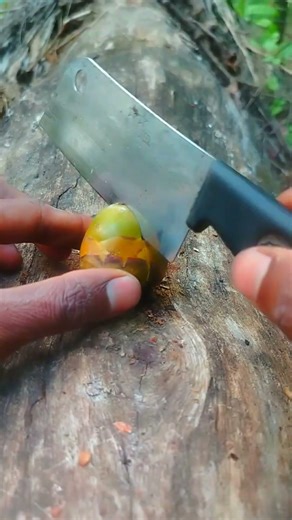 ASMR coconut 🔪🥥 #cuttingfun #coconut #asmr #reels #fypp