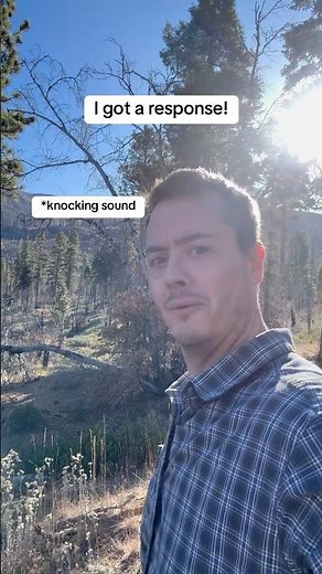 Every time I hear a tree knock, it’s actually a woodpecker #bigfoot #nature