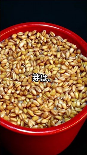 「果報は寝て待て」。