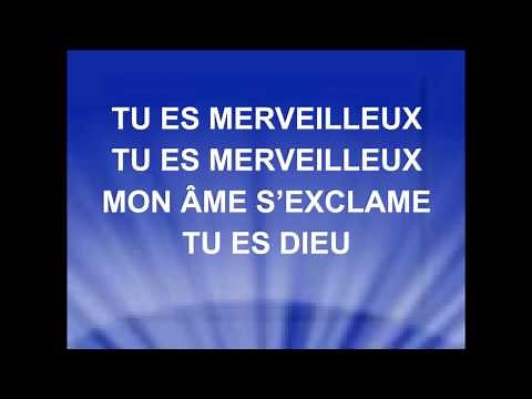 TU ES MERVEILLEUX - Stéphane Quéry