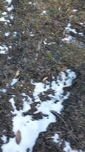 #watsonearthworksllc #housedemo #ohio