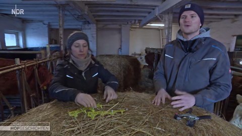 Hofgeschichten: Leben auf dem Land: Die Kälberzeit ist da