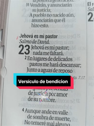Jehová es mi pastor y nada me faltará #oraciondelanoche #oraciondeproteccion #reflexionescristianas #palabrasdefortaleza #oraciondeagradecimiento