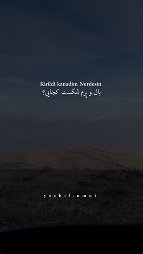 ‎ثبت جزئیات|ویدیوگرافی|روزمرگی|عاشقانه‎ on Instagram‎: "nerdesin?❤️‍🩹 چونکه عاشق این آهنگ شدم من🥺🤍 به محض پیدا کردن آهنگ تو استوریام خبر میدم و تو کانال تلگرامی میزارم😍 #عشق #عاشقانه #دوستت_دارم #ترکیه"‎