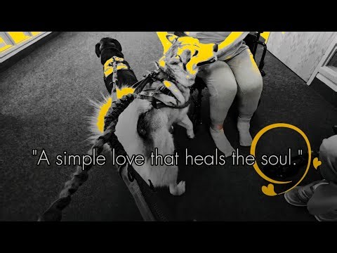 My Dogs Visit the Nursing Home 🧡